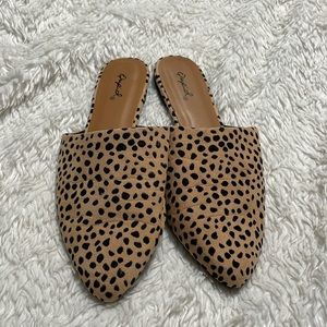 Qupid Leopard Print Pointed Toe Slip-On Flats in Tan and Black